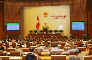 Năm 2015 không phân biệt bằng nghề hay bằng chuyên nghiệp